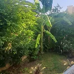 Big Apartment With Garden Rehab