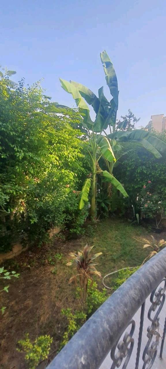 Apartment Big With Garden Rehab Cairo